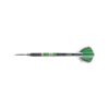 Daryl Gurney Darts - Image 2