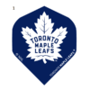 NHL Flights